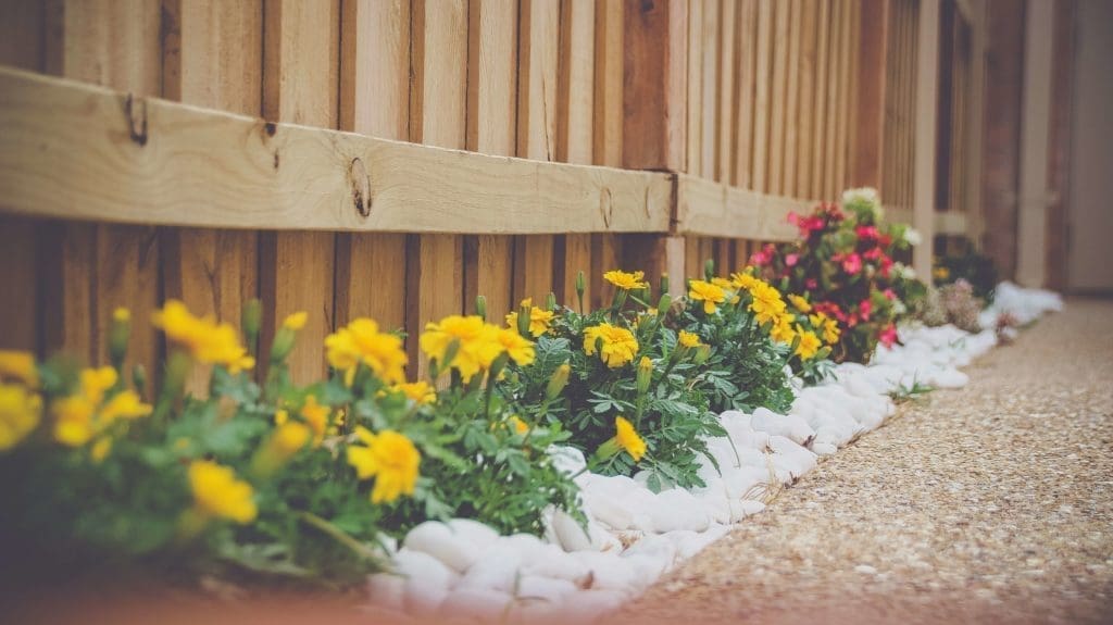 HOA Landscaping: 10 Useful Tips from Experts in 3 HOA Landscaping 2