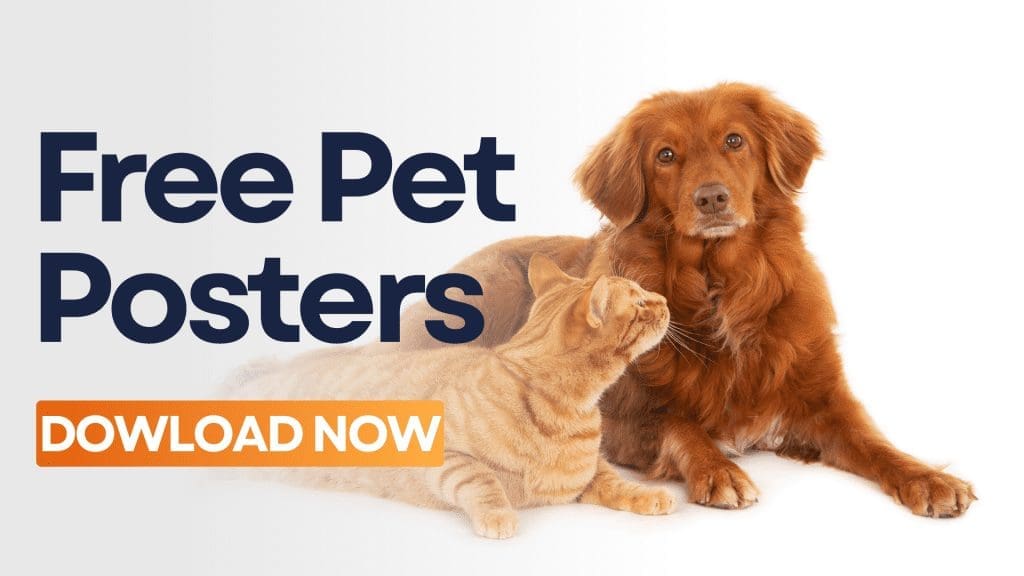 What You Need to Know About Dog Barking Rules In Your HOA 2 Pet Posters Banner