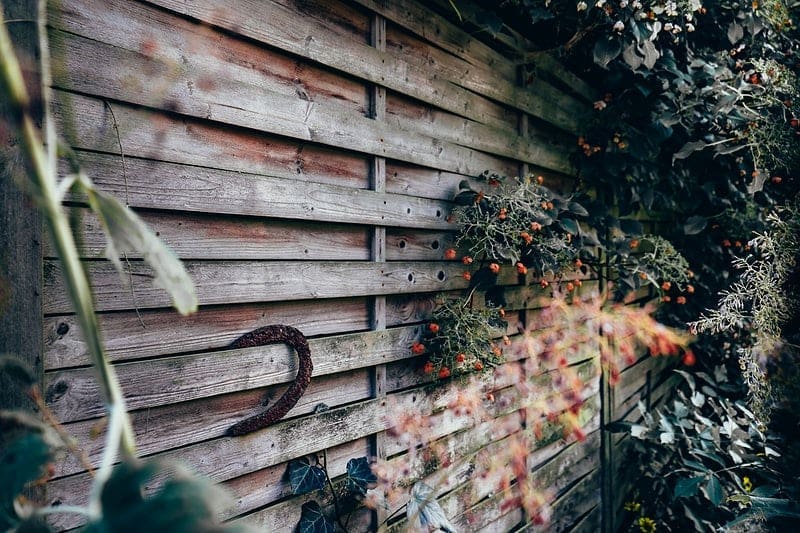 Condo Landscaping: 3 Smart Ideas and Best Practices 5 condo landscaping - fence with plants - an example of hard and softscaping
