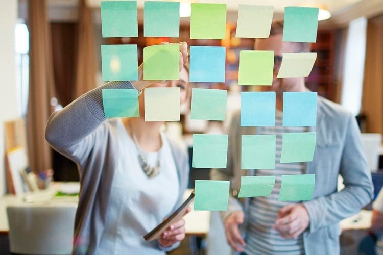 task management